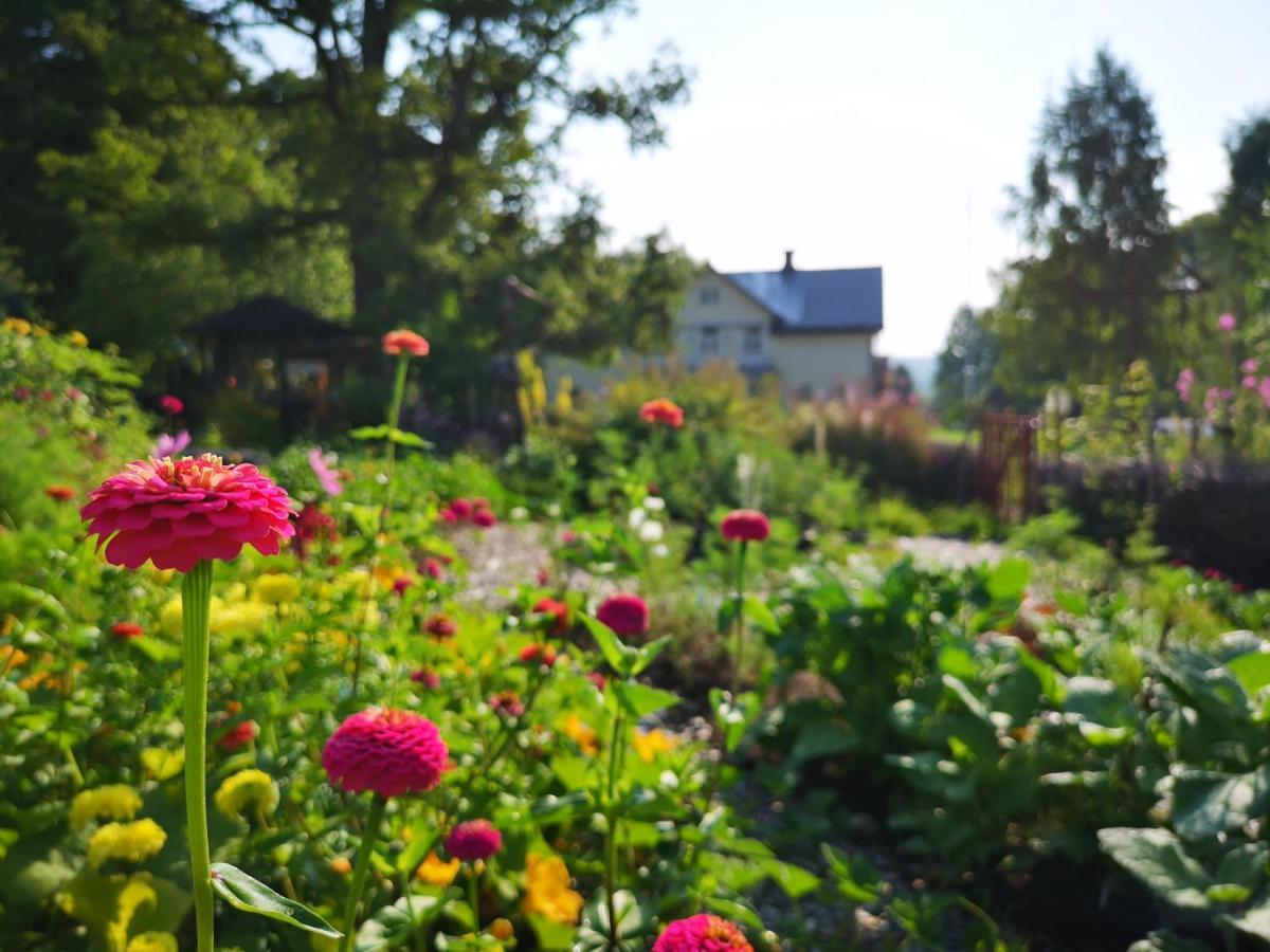 Disponentparken Cafe Och Bed & Breakfast Grangesberg ภายนอก รูปภาพ
